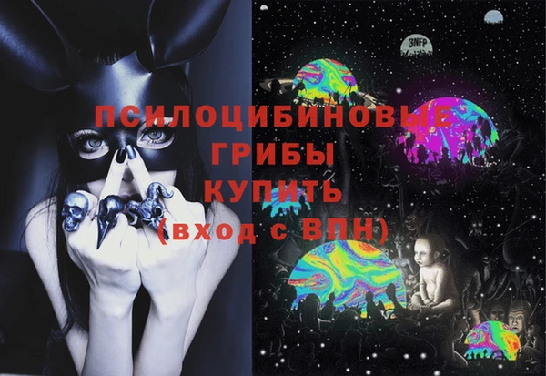 трава Белокуриха