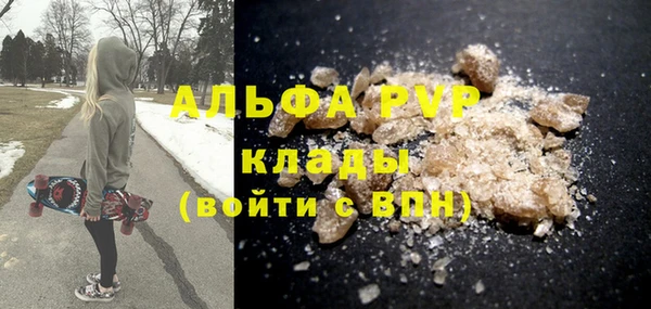 трава Белокуриха