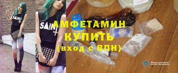 трава Белокуриха