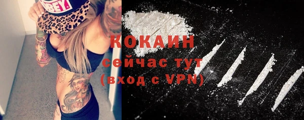 трава Белокуриха