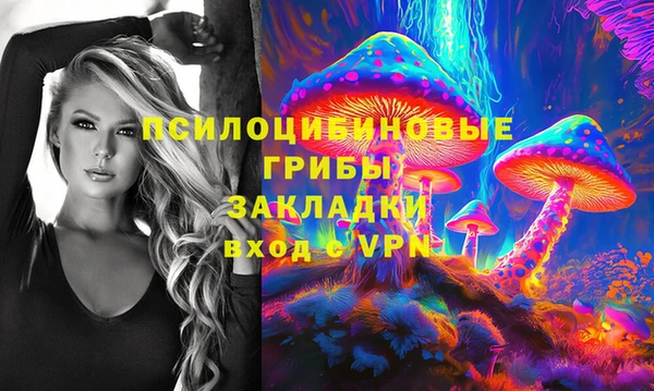 трава Белокуриха