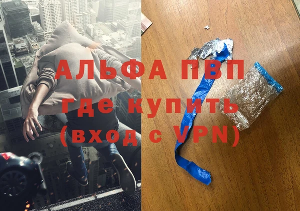 трава Белокуриха