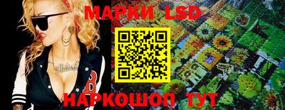 гашик Берёзовский