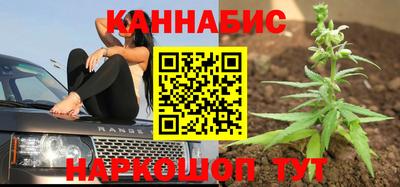 крисы Бийск
