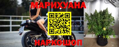 гидра Бийск