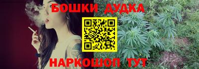 крисы Бийск