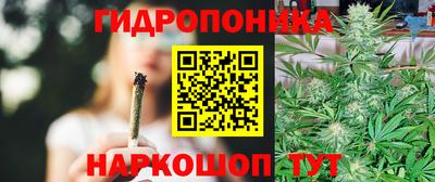 гашик Берёзовский