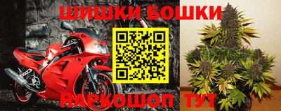 крисы Бийск
