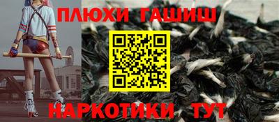 крисы Бийск