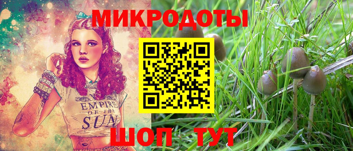 Псилоцибиновые грибы прущие грибы  Горно-Алтайск 