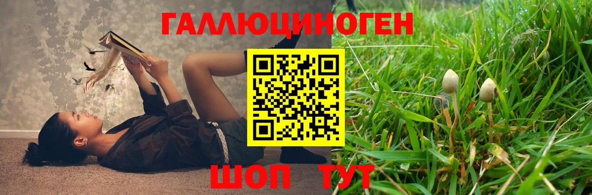 Галлюциногенные грибы мицелий  купить наркотик  Горно-Алтайск  Вход с VPN 
