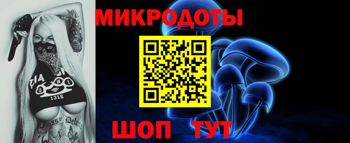 Псилоцибиновые грибы мицелий Горно-Алтайск