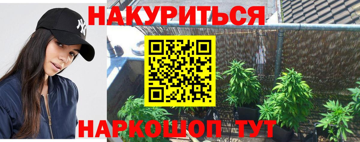 Конопля White Widow Горно-Алтайск